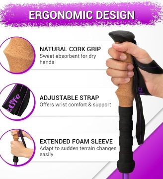 81Vh6pCFLhL._AC_SX679_